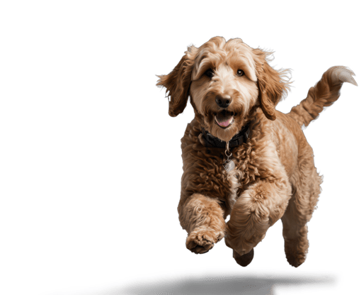 Newsletter Vordergrund